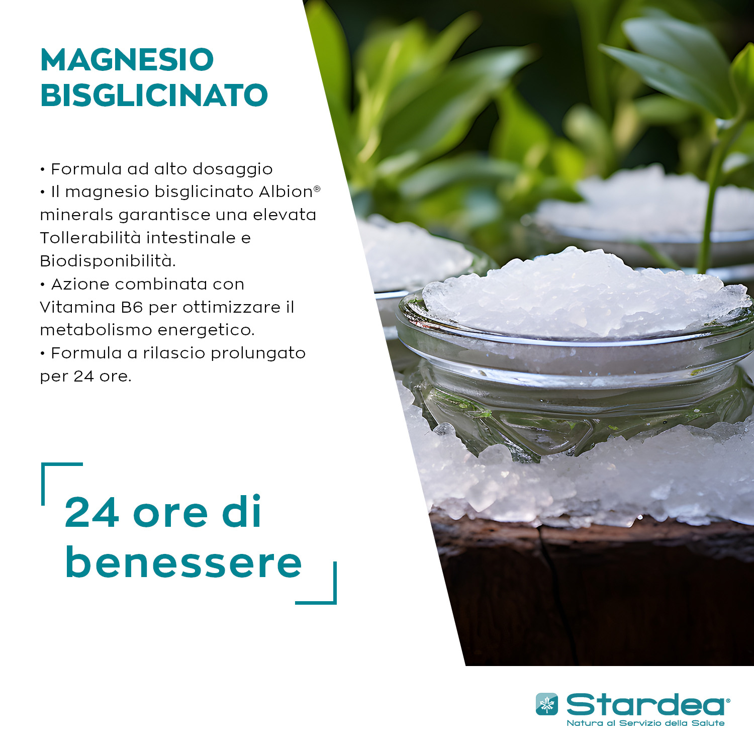 STARDEA MAGNESIO BISGLICINATO 360 - Compresse INTEGRATORE ALIMENTARE STARDEA MAGNESIO BISGLICINATO 360 - Compresse INTEGRATORE ALIMENTARE