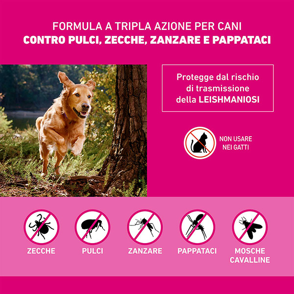 Frontline Tri-Act x1 Pipetta, Antiparassitario Per Cani e Cuccioli (Taglia XS 2-5Kg) Contro Pulci, Zecche, Zanzare, Pappataci e Leishmaniosi Frontline Tri-Act x1 Pipetta, Antiparassitario Per Cani e Cuccioli (Taglia XS 2-5Kg) Contro Pulci, Zecche, Zanzare, Pappataci e Leishmaniosi