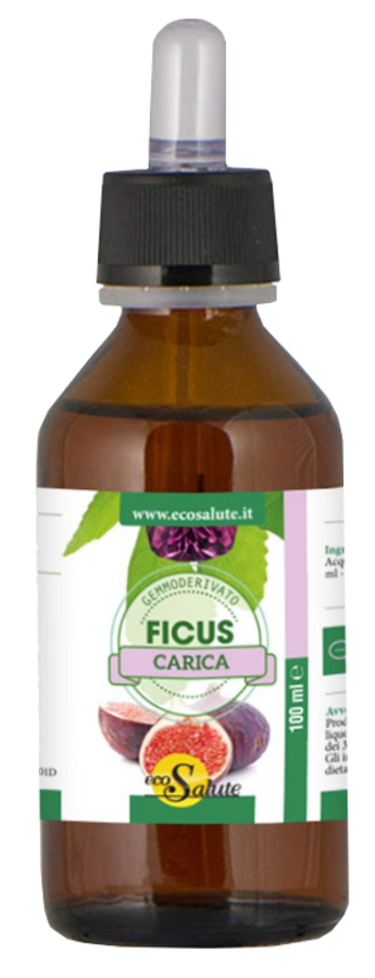 FICUS CARICA GEMMODERIV 100ML