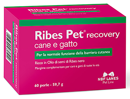 RIBES PET SOLLIEVO 60PRL RIBES PET SOLLIEVO 60PRL