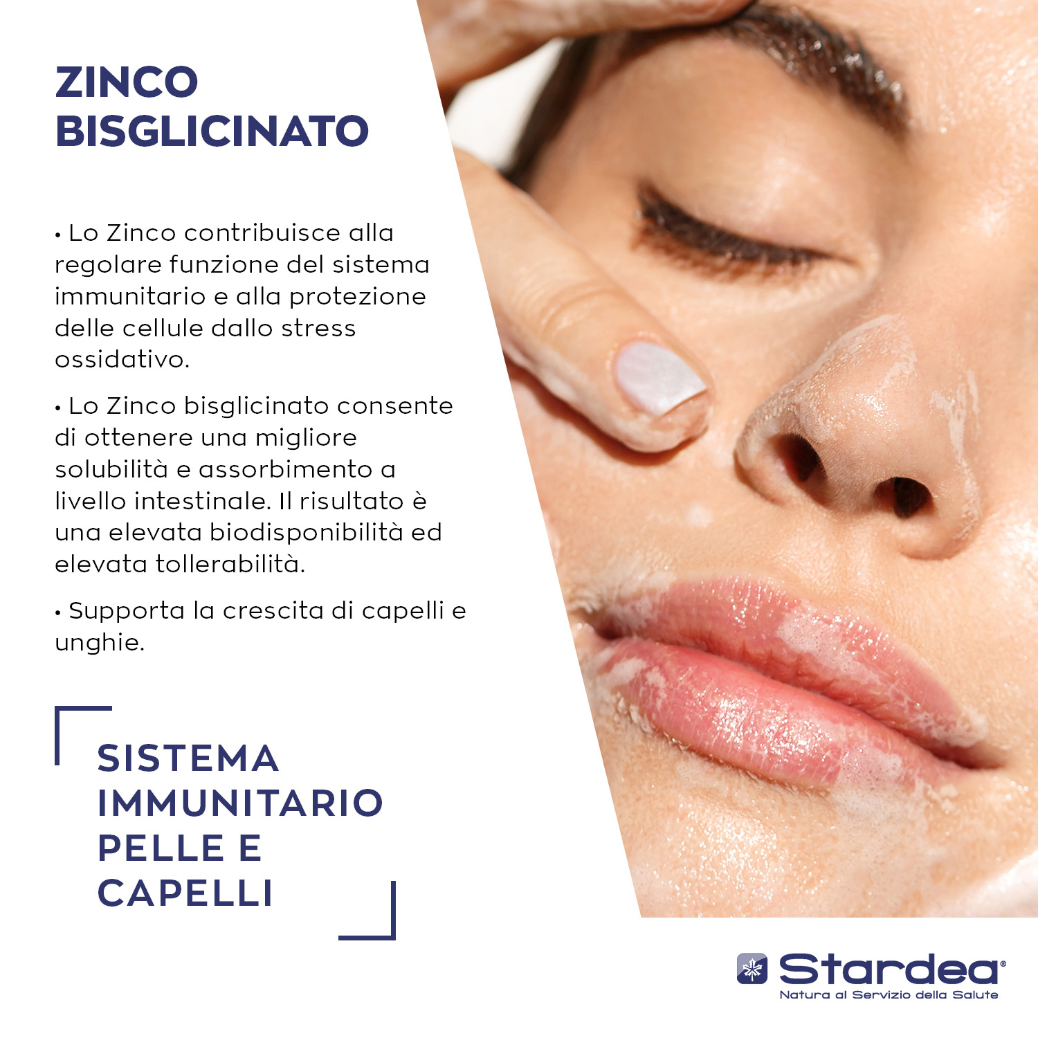 STARDEA ZINCO BISGLICINATO 15 MG - INTEGRATORE ALIMENTARE per il SISTEMA IMMUNITARIO e per il benessere di PELLE E CAPELLI STARDEA ZINCO BISGLICINATO 15 MG - INTEGRATORE ALIMENTARE per il SISTEMA IMMUNITARIO e per il benessere di PELLE E CAPELLI