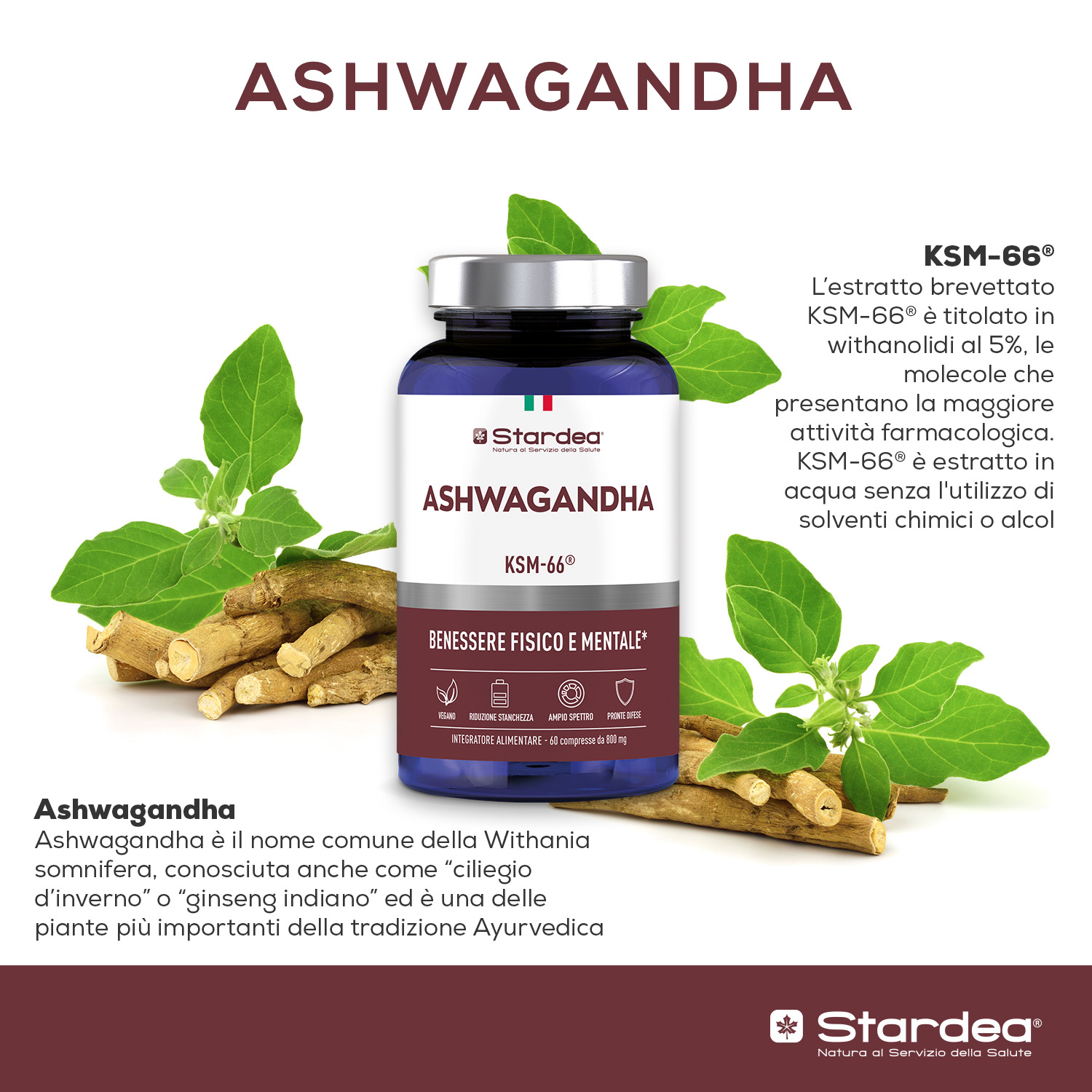 STARDEA ASHWAGANDHA - Compresse INTEGRATORE ALIMENTARE a base di Ashwagandha KSM-66® per il Benessere Fisico e Mentale STARDEA ASHWAGANDHA - Compresse INTEGRATORE ALIMENTARE a base di Ashwagandha KSM-66® per il Benessere Fisico e Mentale