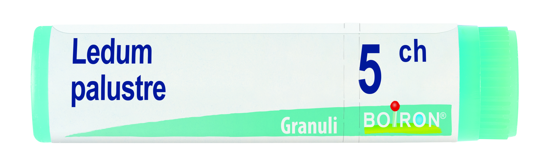 LEDUM PALUSTRE 5CH GL