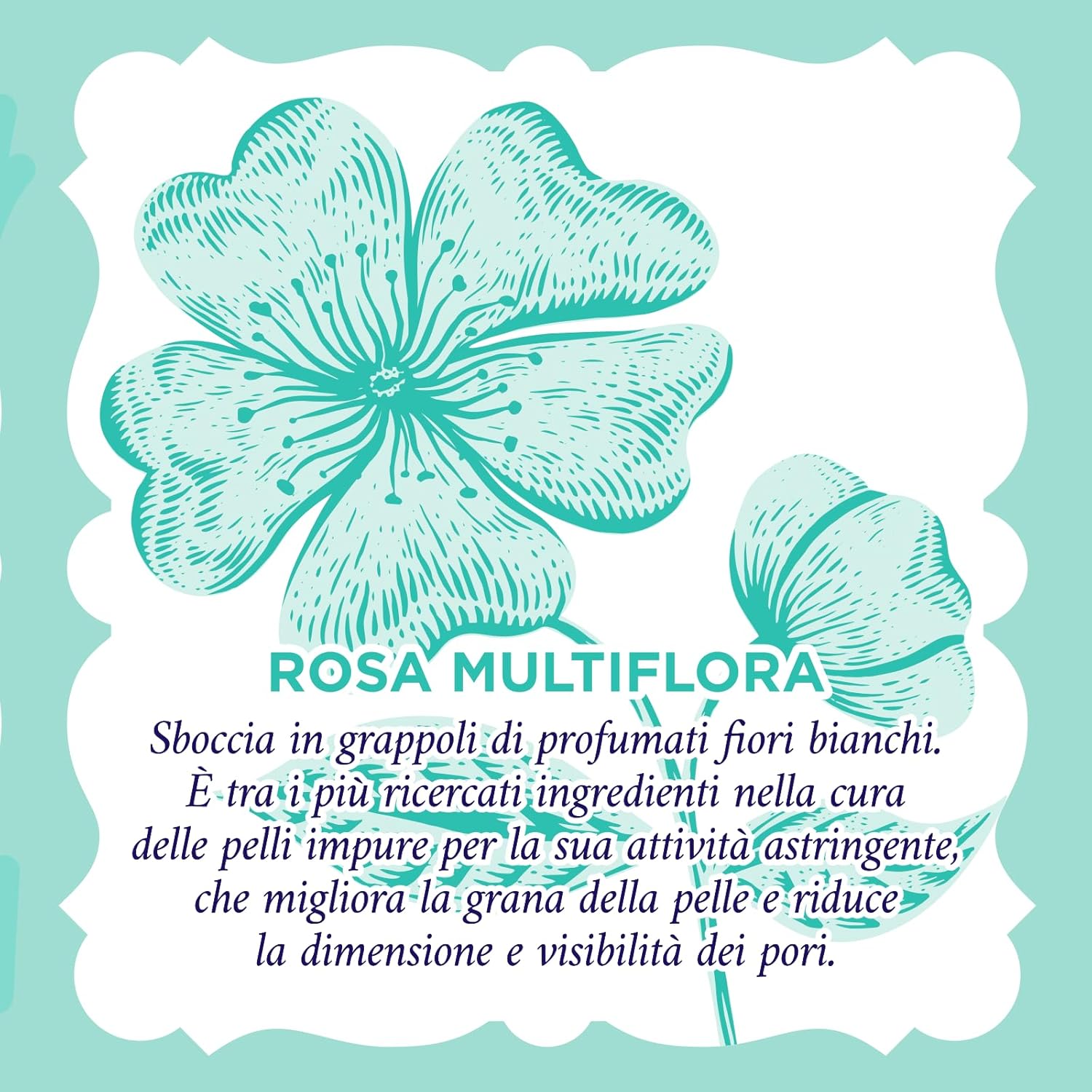 Acqua Alle Rose - Gel Lavaviso Purificante Viso 200 ml