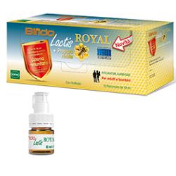 Bifidolactis Royal + Pappa Reale Integratore Intestinale 12 Flaconcini Bifidolactis Royal + Pappa Reale Integratore Intestinale 12 Flaconcini