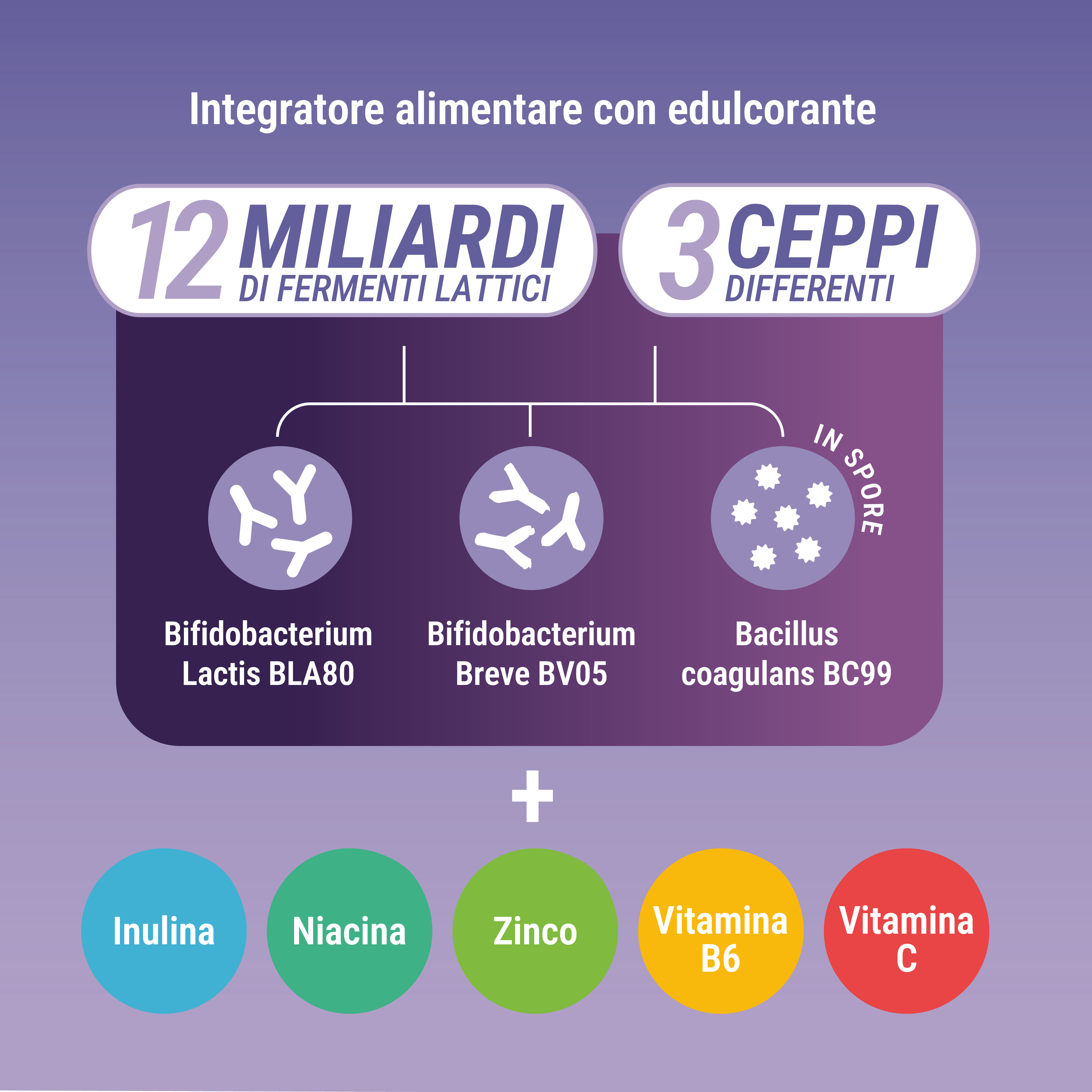 Isypan Probiotik Fermenti Lattici 60 supergelée