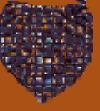FOULARD C/PROT FFV 9