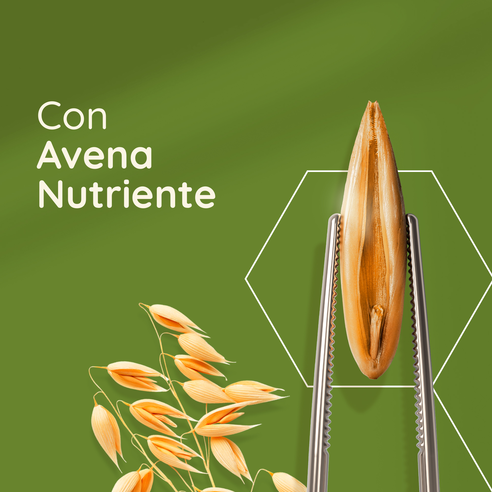 Aveeno Daily Moisturising Crema Idratante 100 ml, Crema corpo per pelli da normali a secche Aveeno Daily Moisturising Crema Idratante 100 ml, Crema corpo per pelli da normali a secche