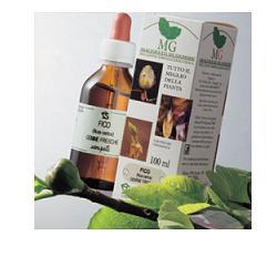 Quercia 100ml Mg