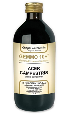 ACERO CAMP 500ML ANALCO GEM10+ ACERO CAMP 500ML ANALCO GEM10+
