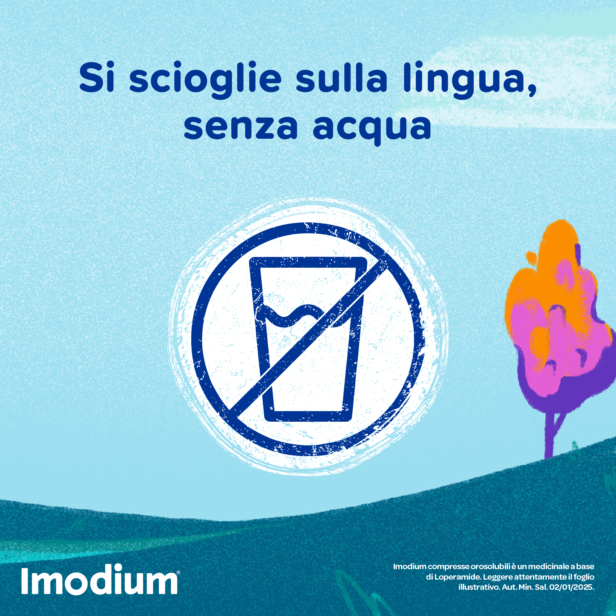 Imodium Diarrea Acuta 12 Compresse Orosolubili Imodium Diarrea Acuta 12 Compresse Orosolubili