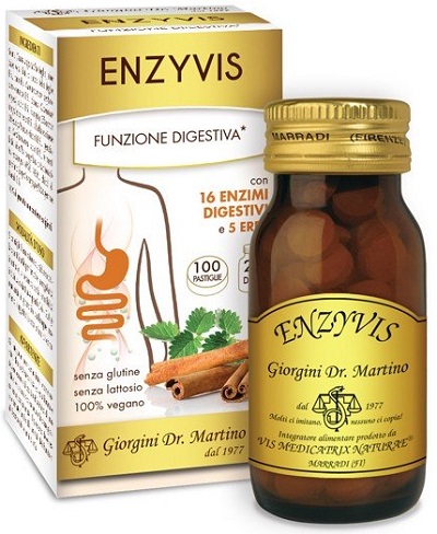 Dr. Giorgini Enzyvis Integratore Digestivo 100 Pastiglie Dr. Giorgini Enzyvis Integratore Digestivo 100 Pastiglie