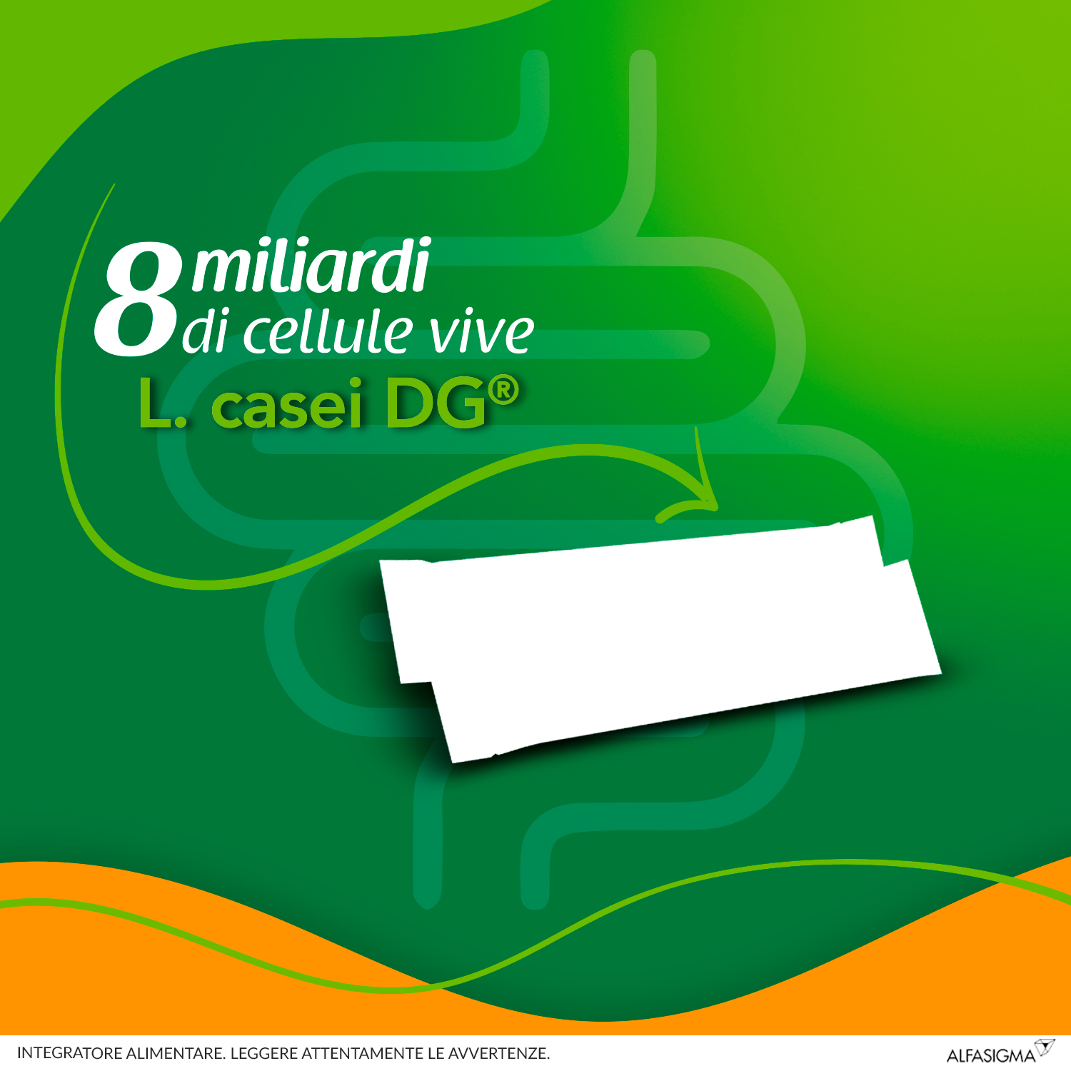 ENTEROLACTIS 8MLD 12BUST OROSO