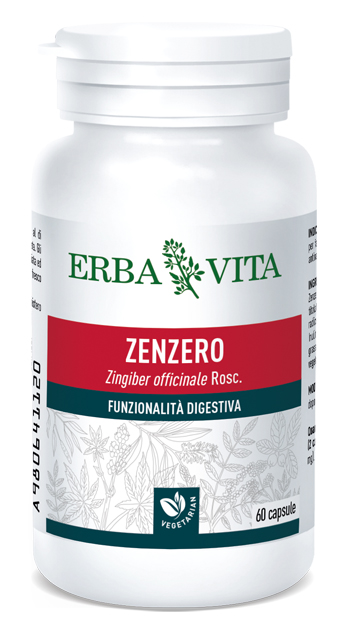 ZENZERO 60 Cps 500mg       EBV
