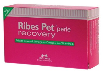 Nbn Lanes Ribes Pet Recovery Integratore Dermatite Cani E Gatti 60 Perle Nbn Lanes Ribes Pet Recovery Integratore Dermatite Cani E Gatti 60 Perle