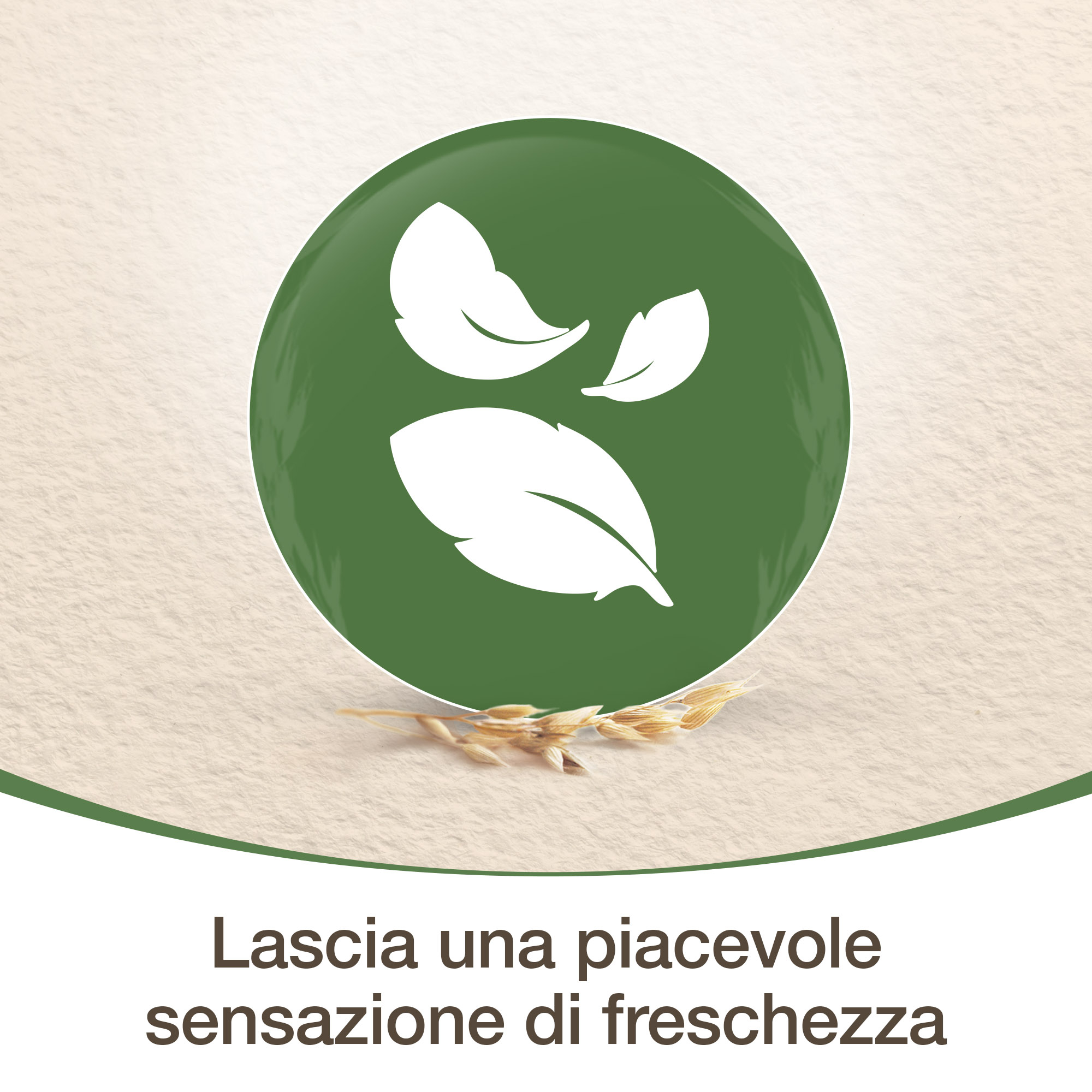 Aveeno Daily Moisturising, Crema Corpo Idratante Bagno Doccia, Detergente Corpo, Pelli da Normali a Secche, Profumo Delicato, 500 ml