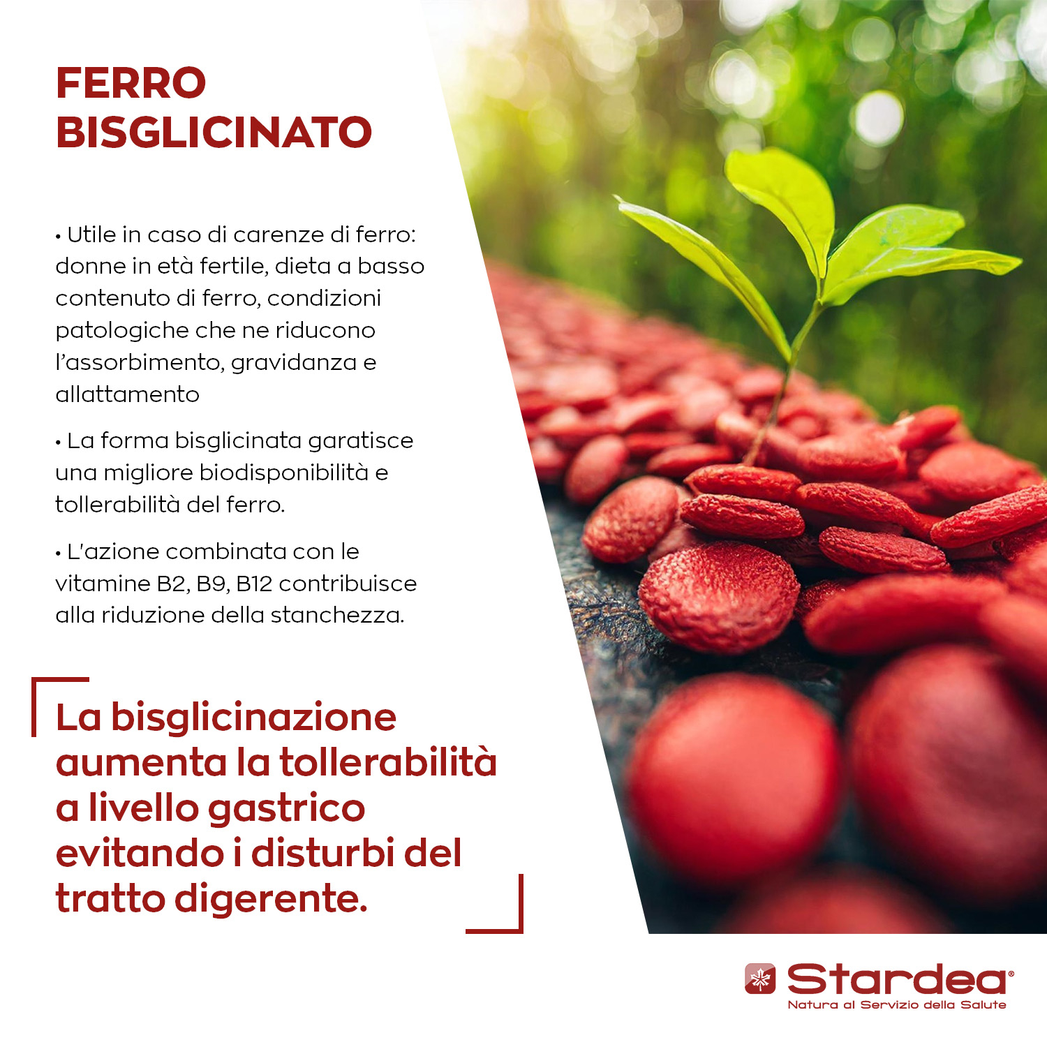 STARDEA FERRO BISGLICINATO 14 MG Compresse INTEGRATORE ALIMENTARE STARDEA FERRO BISGLICINATO 14 MG Compresse INTEGRATORE ALIMENTARE