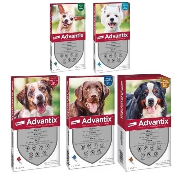 Advantix Spot On Cani PER CANI oltre i 4 Kg fino ai 10 Kg 6 Pipette Monodose Advantix Spot On Cani PER CANI oltre i 4 Kg fino ai 10 Kg 6 Pipette Monodose