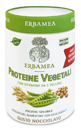 PROTEINE Veg.270g EBM
