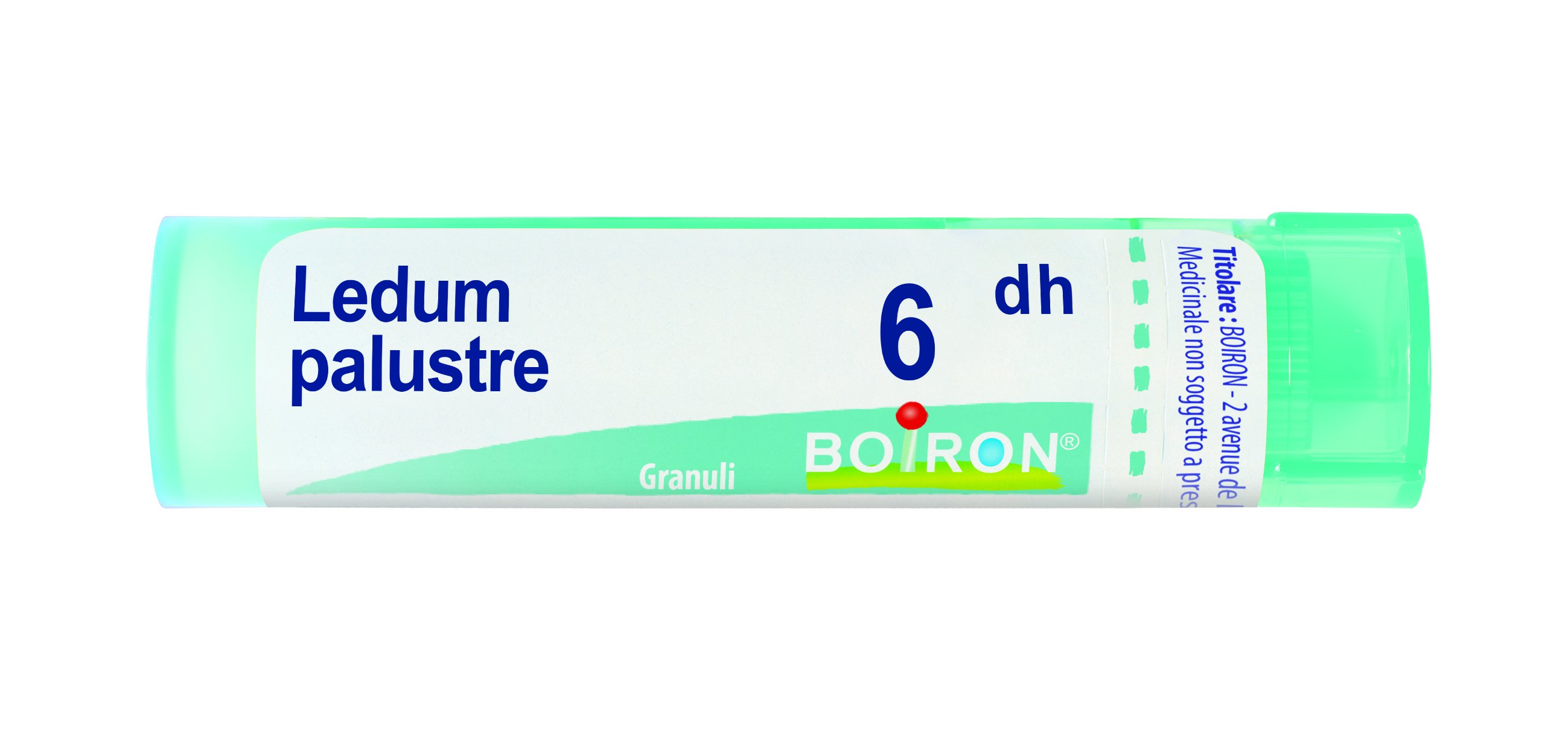 LEDUM PALUSTRE Tubo  6DH