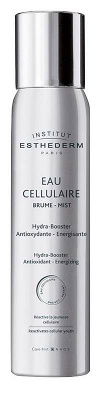 INSTI EAU CELLULAIRE BRUM100ML INSTI EAU CELLULAIRE BRUM100ML