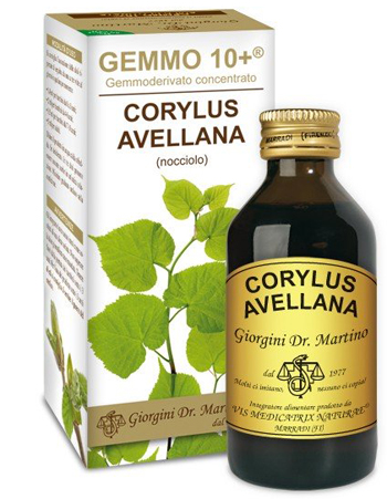 NOCCIOLO 100ML ANALCO GEM 10+ NOCCIOLO 100ML ANALCO GEM 10+