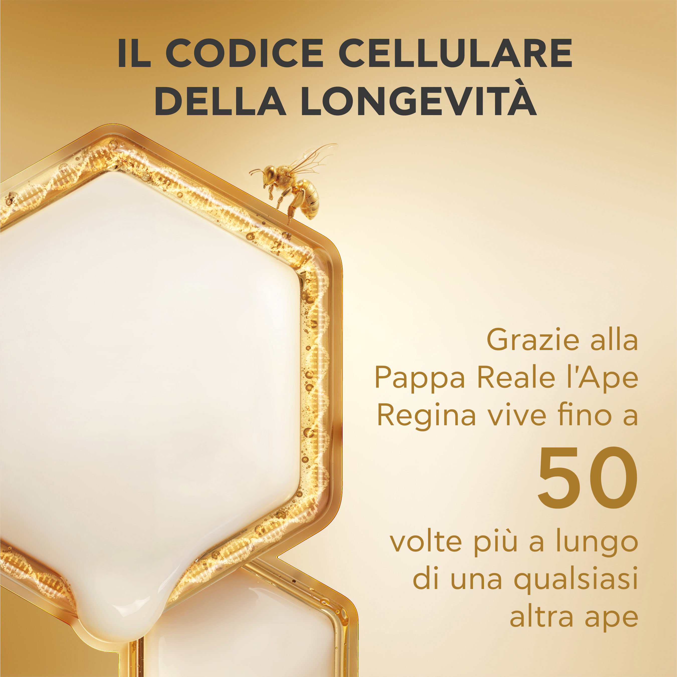 Apivita Queen Bee Longevity - Crema Leggera Setosa 12 Indicatori Di Giovinezza 50 ml