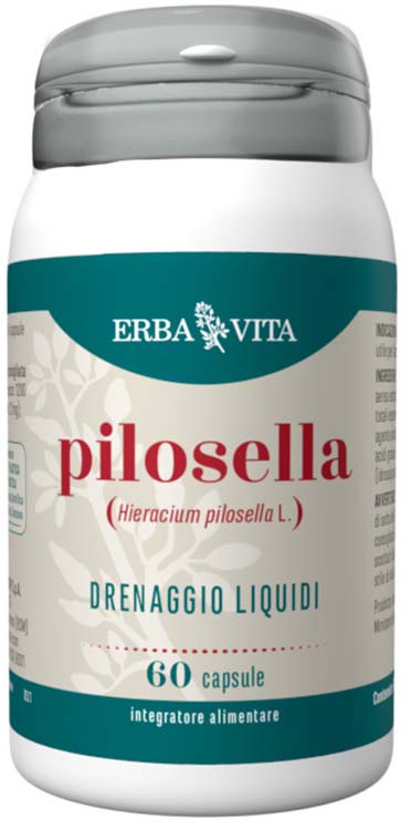 PILOSELLA 60 Cps 350mg     EBV