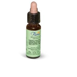 FLORIT 27 ROCK WATER/ACQ ROC10