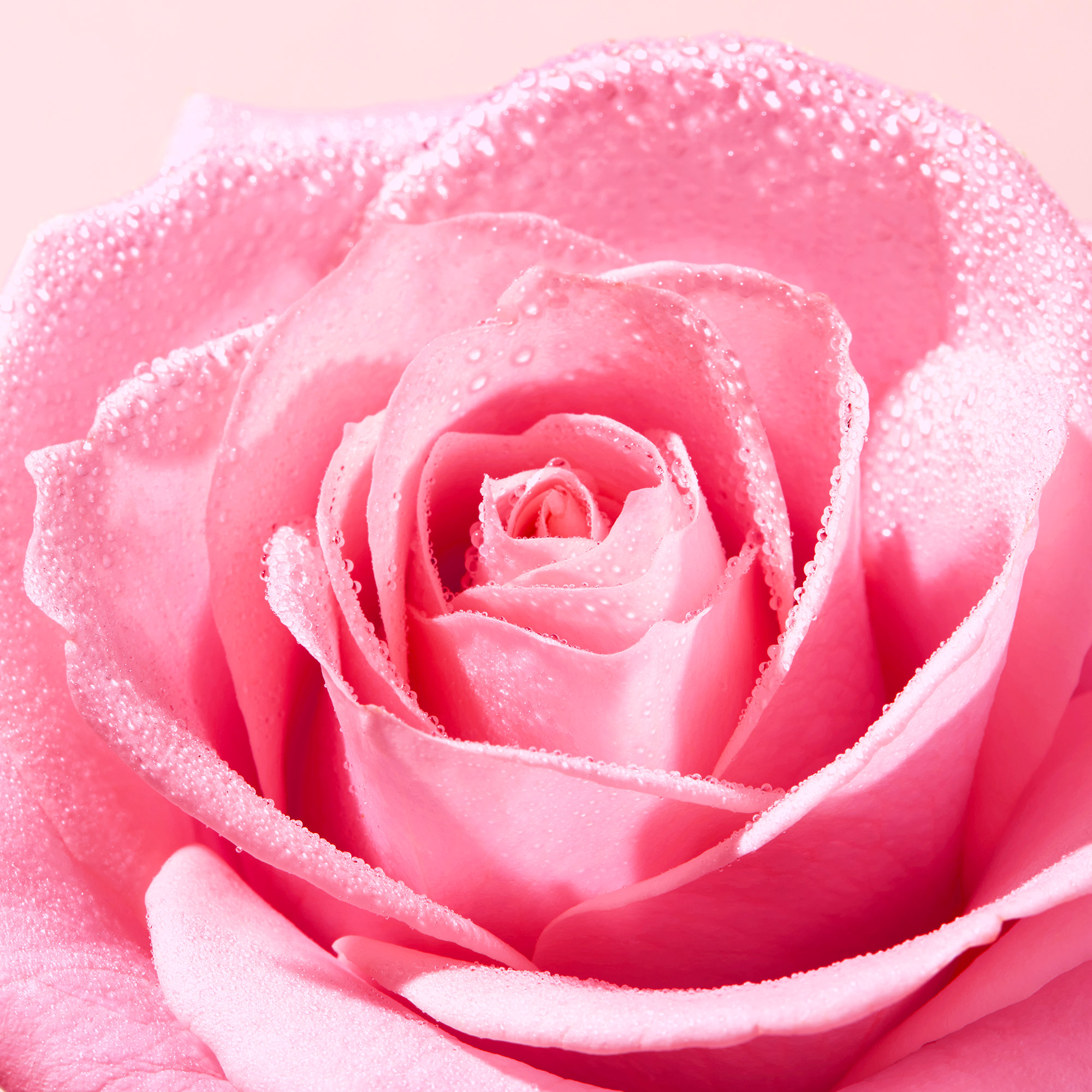 Nuxe - Very Rose - Gel Detergente Viso 150 ml