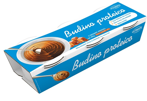 BUDINO PROTEICO CARAMEL 360G