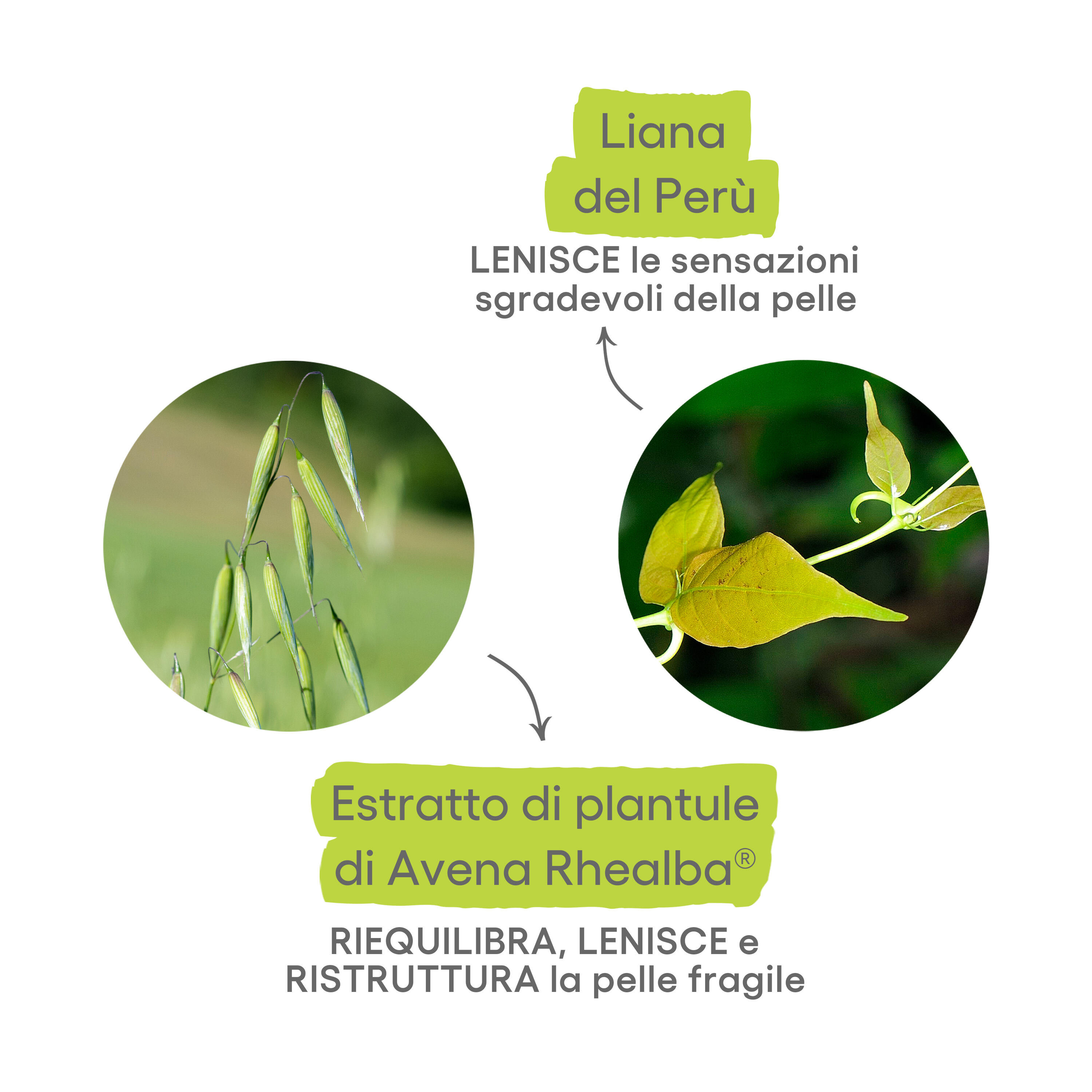 A-Derma Cutalgan - Roll-On Effetto Fresco Ultra-Lenitivo 10 ml