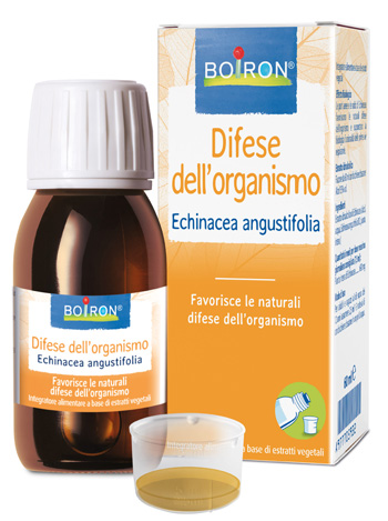 ECHINACEA ANG EI 60ML IN ECHINACEA ANG EI 60ML IN