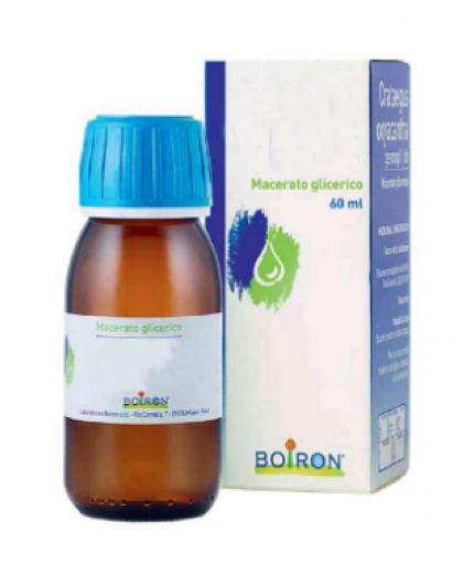 Boiron Rosmarinus Officinalis Macerato Glicerico 60 ml