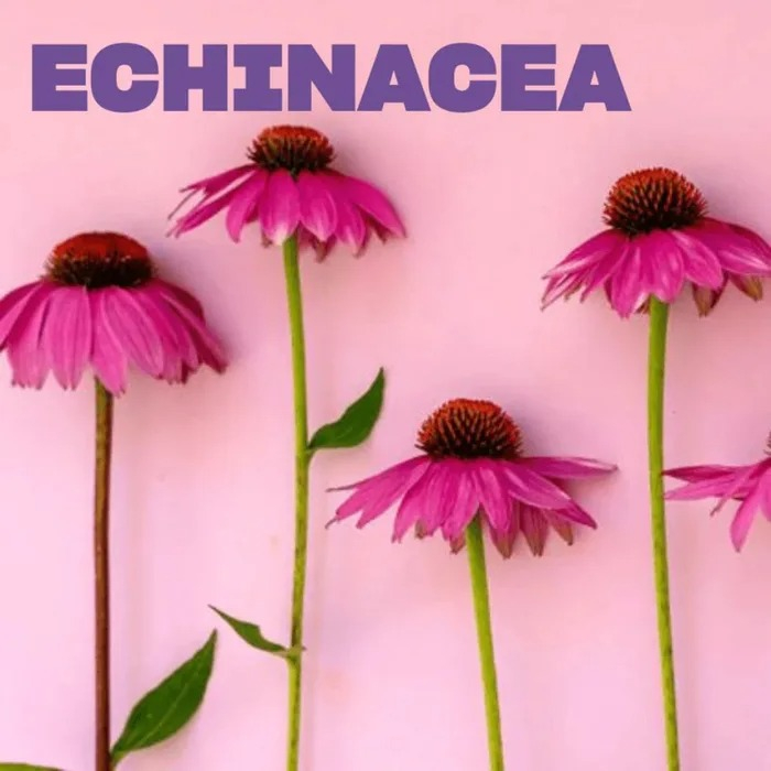 SWISSE PRO COLLAGEN SIERO 30ML