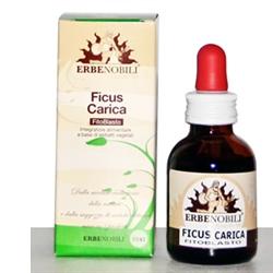 Erbenobili Ficus Carica Fitoblasto Gemmoderivato 50 ml Erbenobili Ficus Carica Fitoblasto Gemmoderivato 50 ml