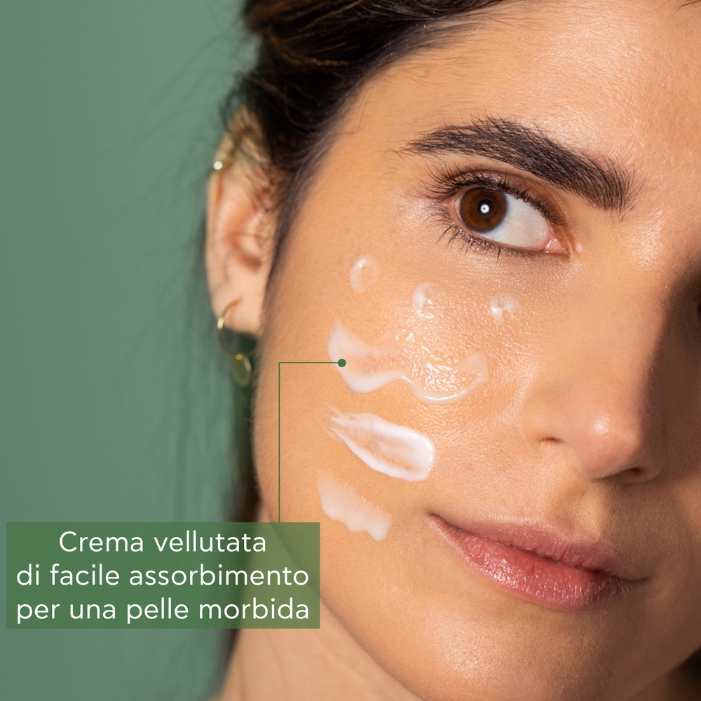 APIVITA BEE RAD RICH 50ML/20 APIVITA BEE RAD RICH 50ML/20