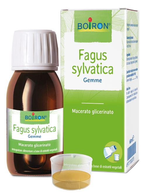 BO.FAGUS SYLVATICA MG 60ML INT