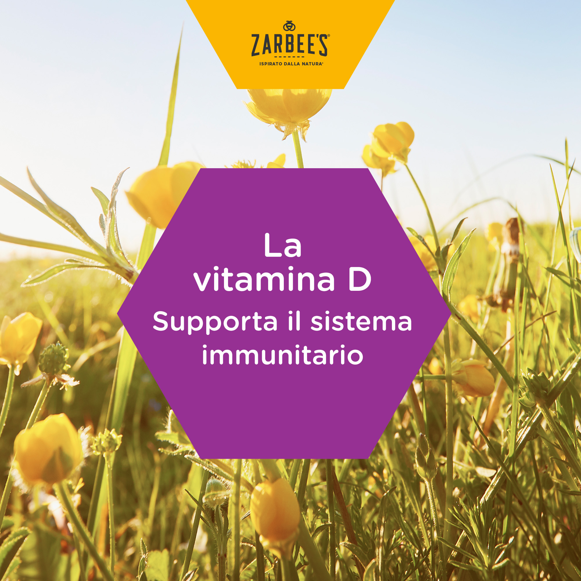 Zarbee's Sciroppo Difese Immunitarie Bambini 120 ml, Integratore alimentare e multivitaminico Zarbee's Sciroppo Difese Immunitarie Bambini 120 ml, Integratore alimentare e multivitaminico