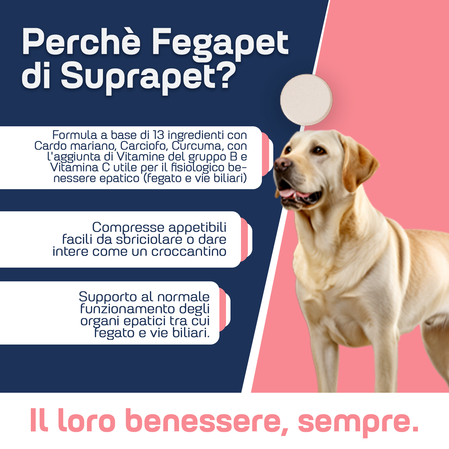 Suprapet fegapet 30 compresse