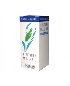 Boiron Olea Europaea 60ml Tintura Madre Boiron Olea Europaea 60ml Tintura Madre