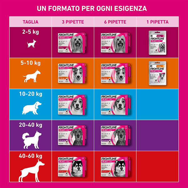 Frontline Tri-Act x1 Pipetta, Antiparassitario Per Cani e Cuccioli (Taglia S 5-10Kg) Contro Pulci, Zecche, Zanzare, Pappataci e Leishmaniosi Frontline Tri-Act x1 Pipetta, Antiparassitario Per Cani e Cuccioli (Taglia S 5-10Kg) Contro Pulci, Zecche, Zanzare, Pappataci e Leishmaniosi