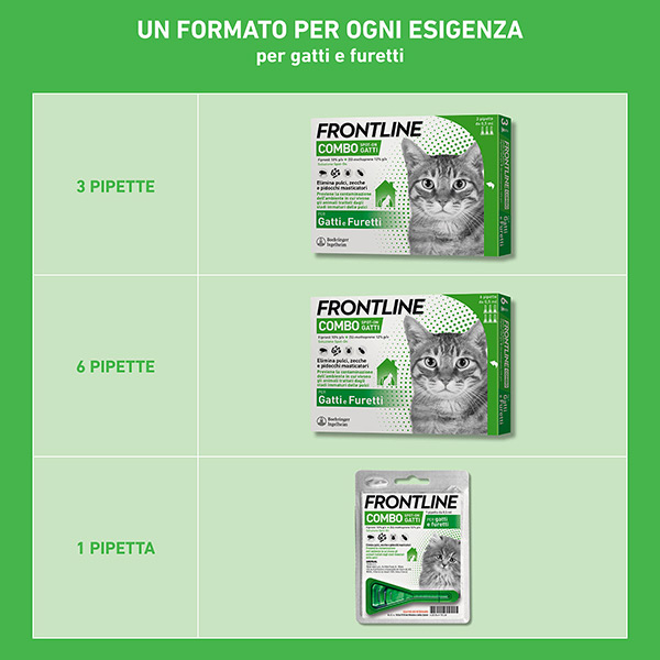 FRONTLINE COMBO SPOTON GATT 1PIP FRONTLINE COMBO SPOTON GATT 1PIP