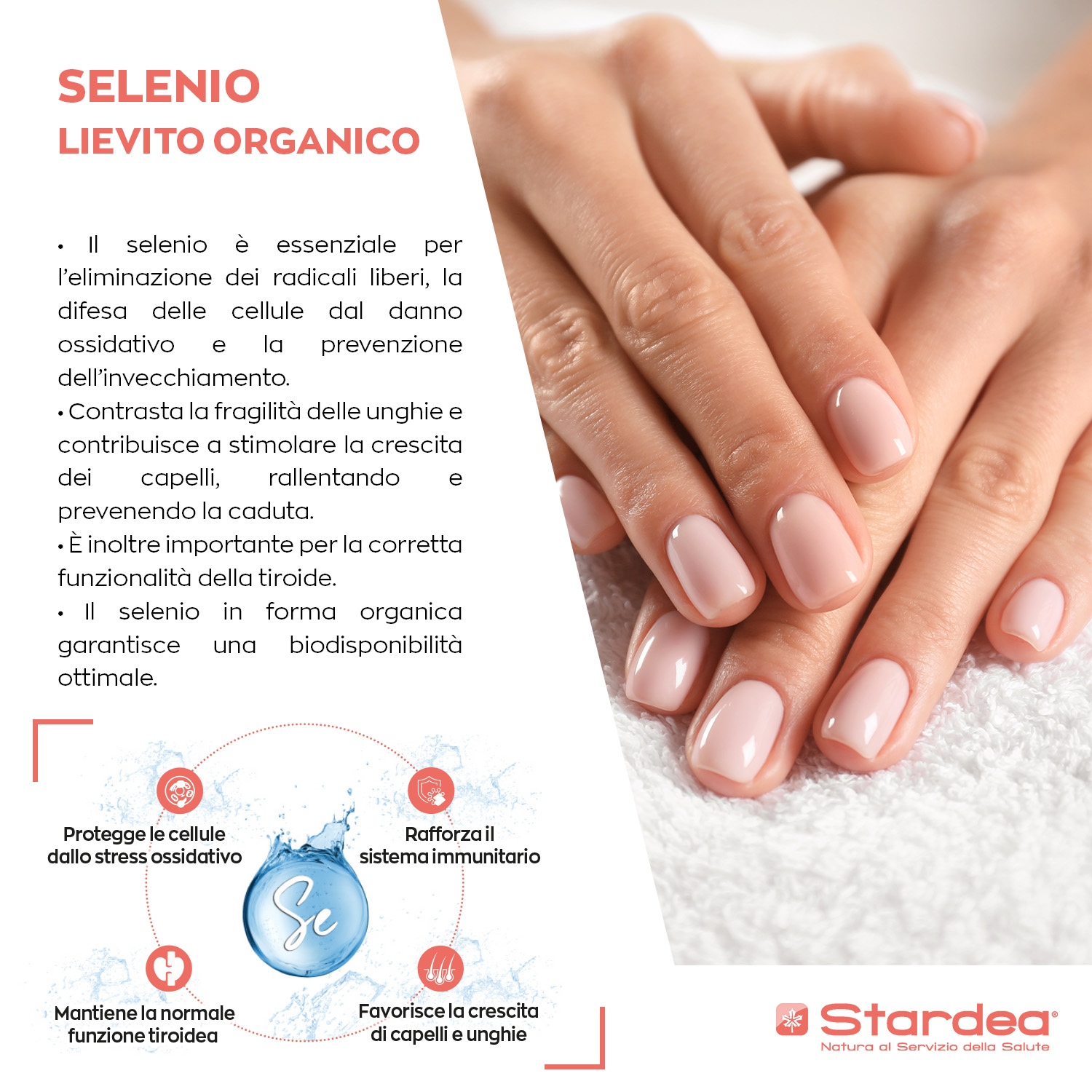 STARDEA SELENIO LIEVITO ORGANICO 55 µg Compresse - INTEGRATORE ALIMENTARE CAPELLI E UNGHIE STARDEA SELENIO LIEVITO ORGANICO 55 µg Compresse - INTEGRATORE ALIMENTARE CAPELLI E UNGHIE