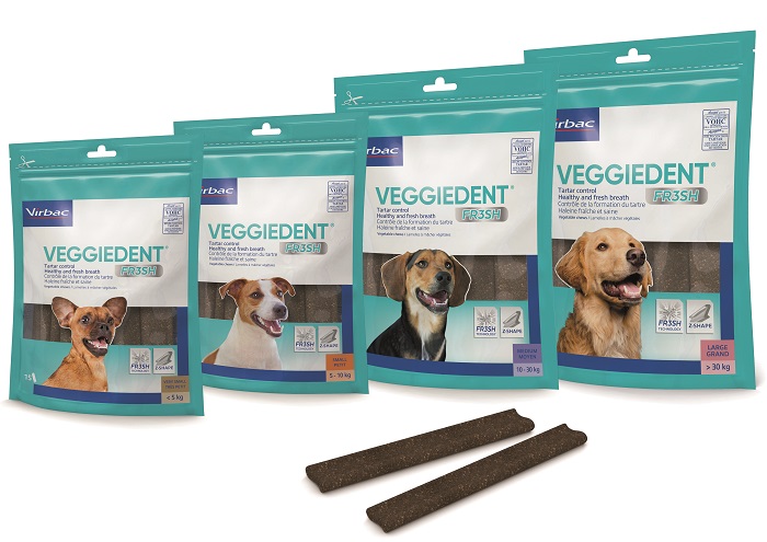 VEGGIEDENT FR3SH XS 15 Stick