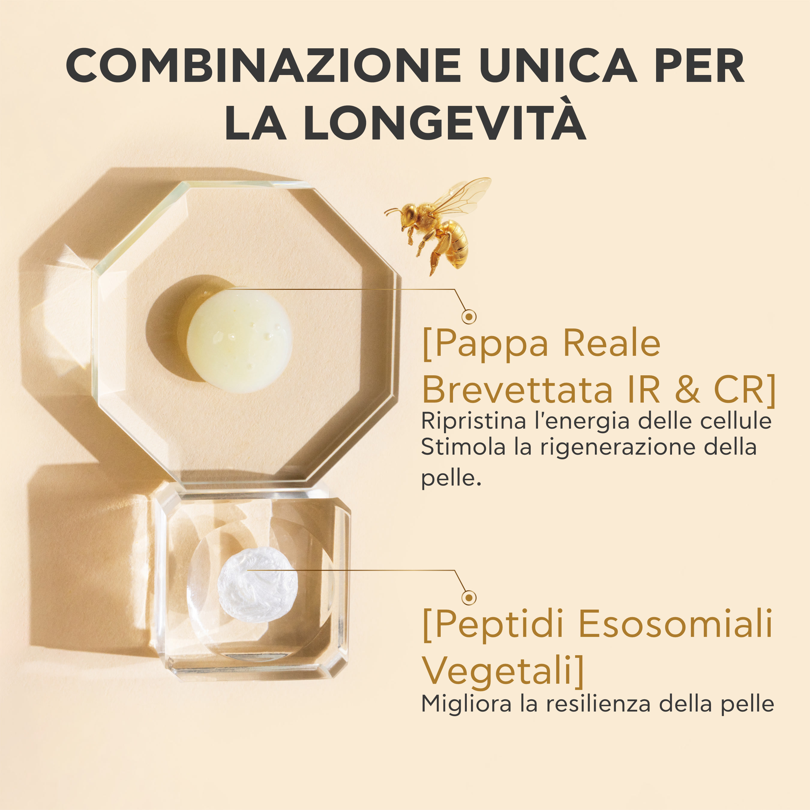 Apivita Queen Bee Longevity - Crema Ricca E Vellutata 12 Indicatori Di Giovinezza 50 ml
