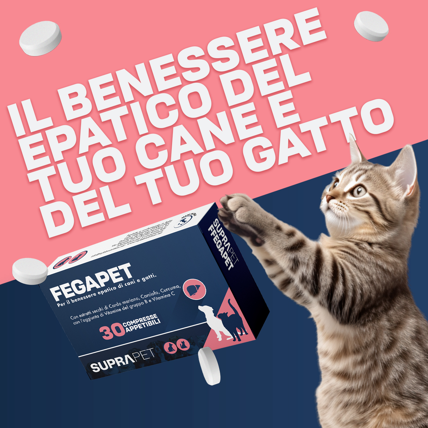 Suprapet fegapet 30 compresse