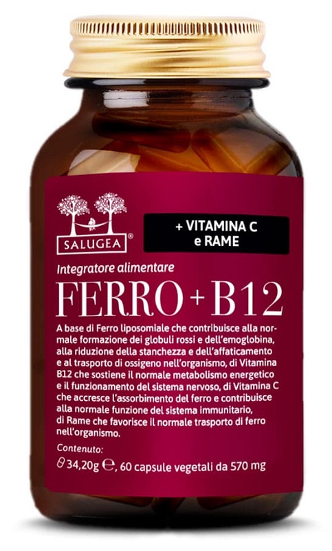 SALUGEA FERRO+B12 60 Cps