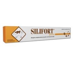 Ddf Silifort Pasta Disintossicante Cani e Gatti Siringa da 30 g Ddf Silifort Pasta Disintossicante Cani e Gatti Siringa da 30 g