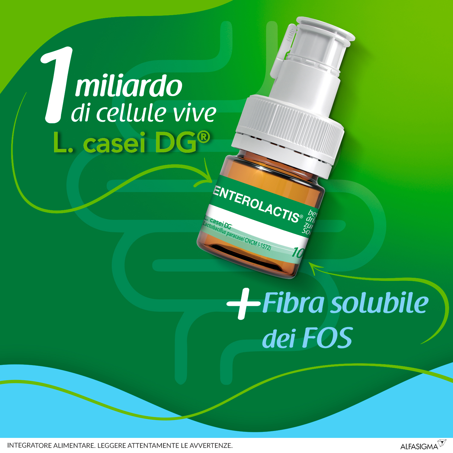 Enterolactis Fibra Liquida, Integratore Alimentare con Fermenti lattici, probiotici, Fibra solubile FOS, Fruttoligosaccaridi, 1 Miliardo Cellule Vive, Senza Glutine e Lattosio, 12 Flaconcini Gusto Limone Enterolactis Fibra Liquida, Integratore Alimentare con Fermenti lattici, probiotici, Fibra solubile FOS, Fruttoligosaccaridi, 1 Miliardo Cellule Vive, Senza Glutine e Lattosio, 12 Flaconcini Gusto Limone